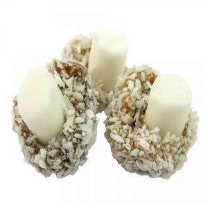 Retro Candy Coconut Mushroom